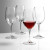 Набор бокалов для красного вина Riedel 0484/0 Vivant 