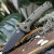 Нож тактический складной Benchmade Claymore Auto 19.2 см 9070SBK-1