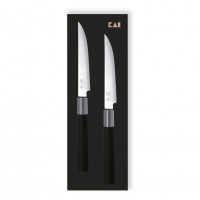 Набор ножей для стейка KAI Wasabi Black (2 шт)