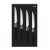 Набір ножів для стейка KAI Wasabi Black (4 шт)
