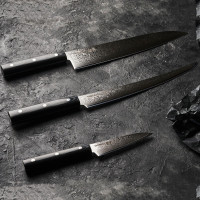 Набор кухонных ножей &quot;Поварская тройка&quot; Samura 67 Damascus 3 шт