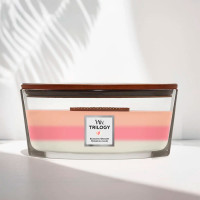 Ароматическая свеча с нежными нотами Woodwick Ellipse Trilogy Blooming Orchard