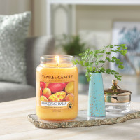 Ароматическая свеча Yankee Candle Сальса манго персик