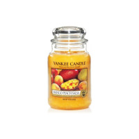 Ароматическая свеча Yankee Candle Сальса манго персик