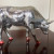 Коллекционная статуэтка Cow Parade корова Mira Moo Size L