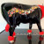 Коллекционная статуэтка Cow Parade корова Haute Cow-ture, Size L, 30×9×20 см
