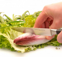 Кухонний ніж для овочів BergHOFF Essentials Black 11.4 см
