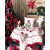 Салфетка-подкладка гобеленовая LiMaSo Рождественская свеча 37x49 см