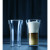Набор стаканов с двойными стенками Bodum 4547-10 Assam по 400 мл