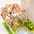 3D Интерьерный конструктор DIY House Румбокс Hongda Craft "Сказочный домик / Sakura"