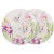 Набор тарелок Lefard Кролик в цветах (2 шт) 924-799