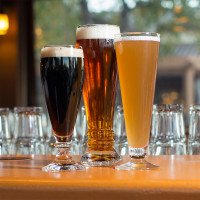 Бокал для пива Pilsner Schott Zwiesel 0.4 л Бокал для пива Pilsner Schott Zwiesel 0.4 л