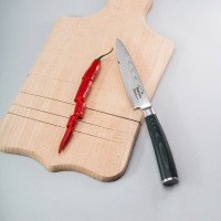 Набор ножей на подставке Sakura Micarta