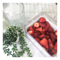 Контейнер для хранения ягод в холодильнике iDesign Crisp