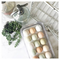 Контейнер для хранения яиц в холодильнике iDesign Crisp