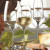 Бокал для белого вина Stoelzle Experience 109-2200002