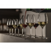Бокал для красного и белого вин Schott Zwiesel Banquet 0.475 л